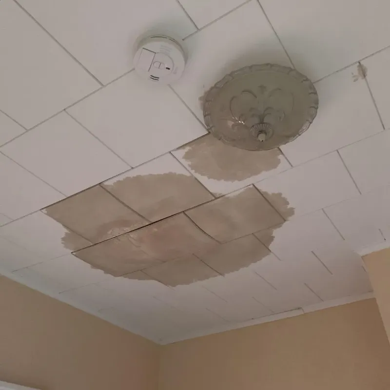 Ceiling Water Damage Repair in Abington, MA