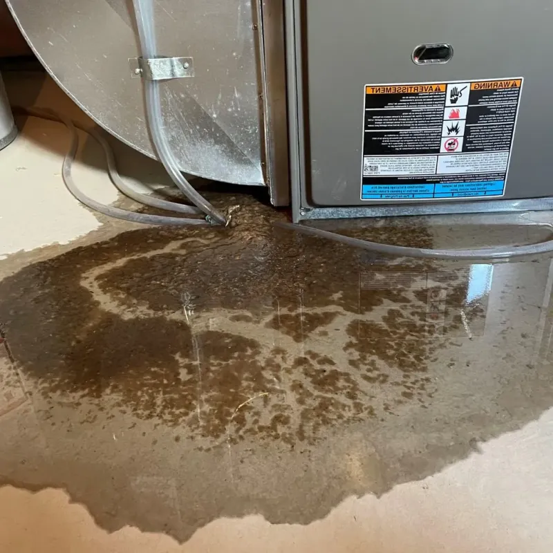Pipe Burst and Leak Restoration in Abington, MA